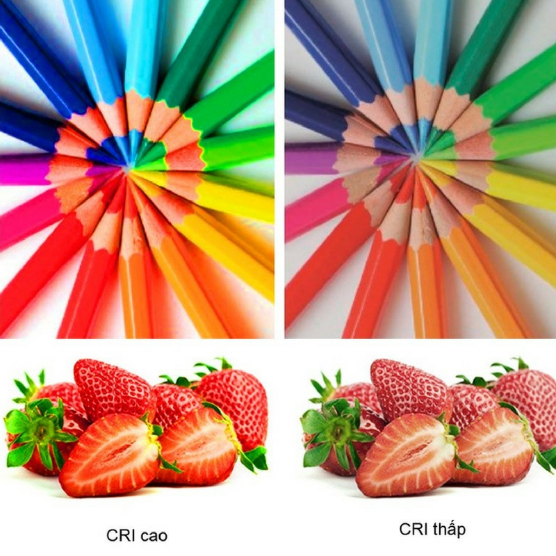 CRI càng cao màu sắc vật thể được phản ánh càng sắc nét